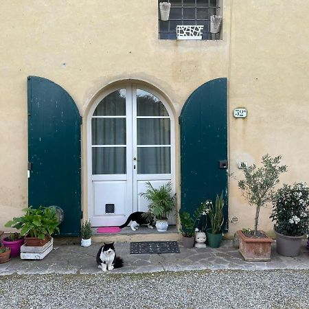 Apartamento Casa Nel Chianti A Siena Ponte A Bozzone Exterior foto